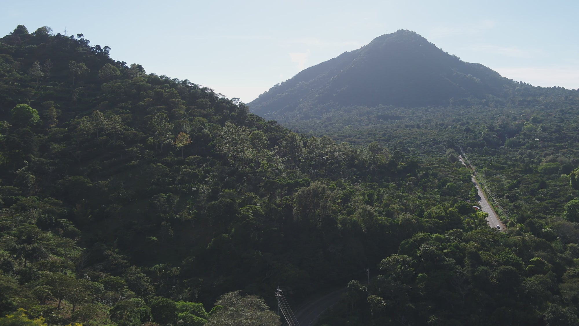 El Salvador Coffee Farms